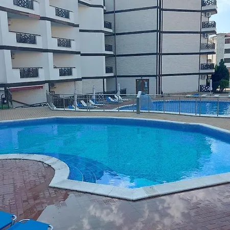 Royal Palm סבטי ולאס